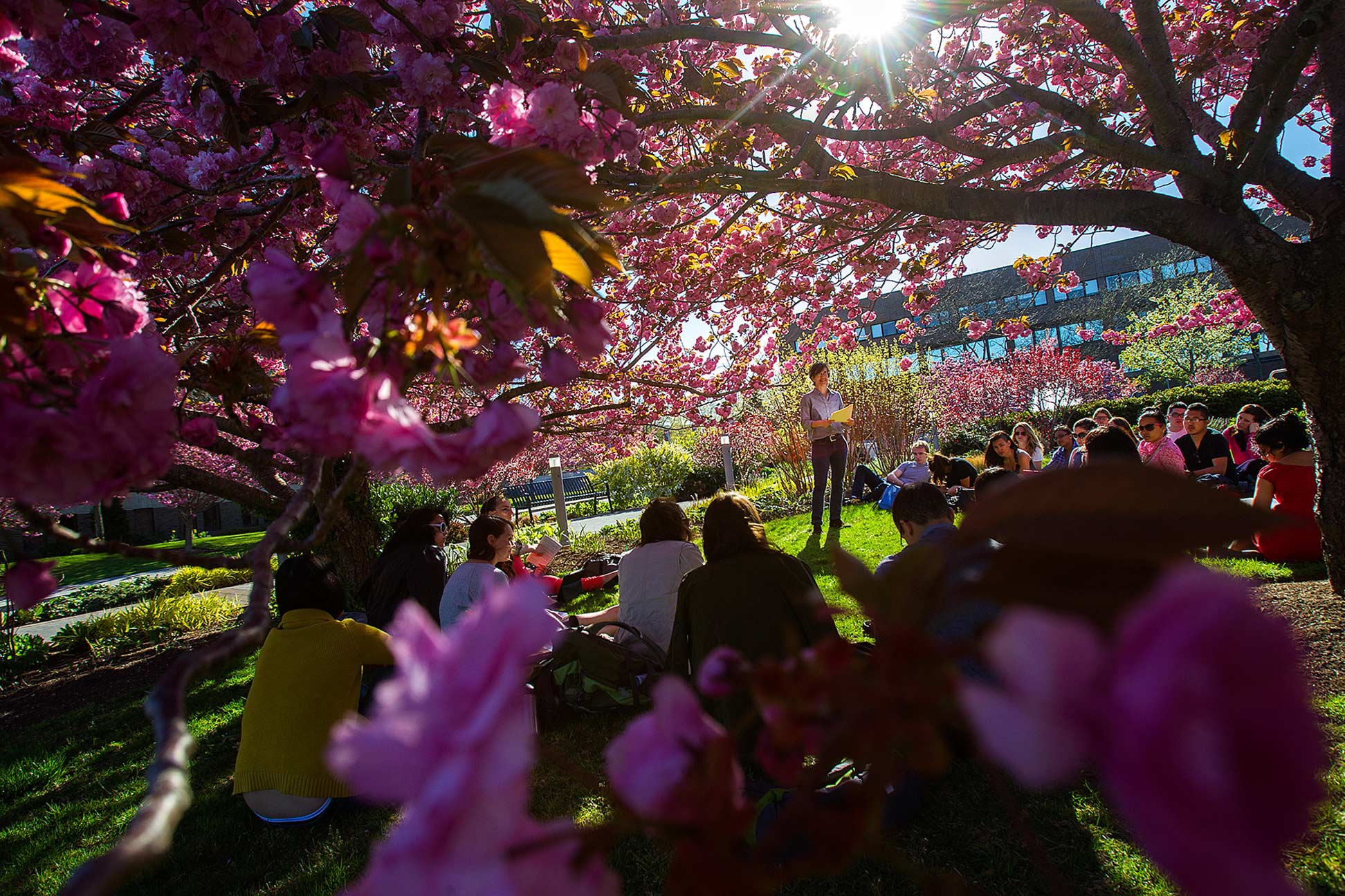 Stony Brook University, Stony Brook, NY