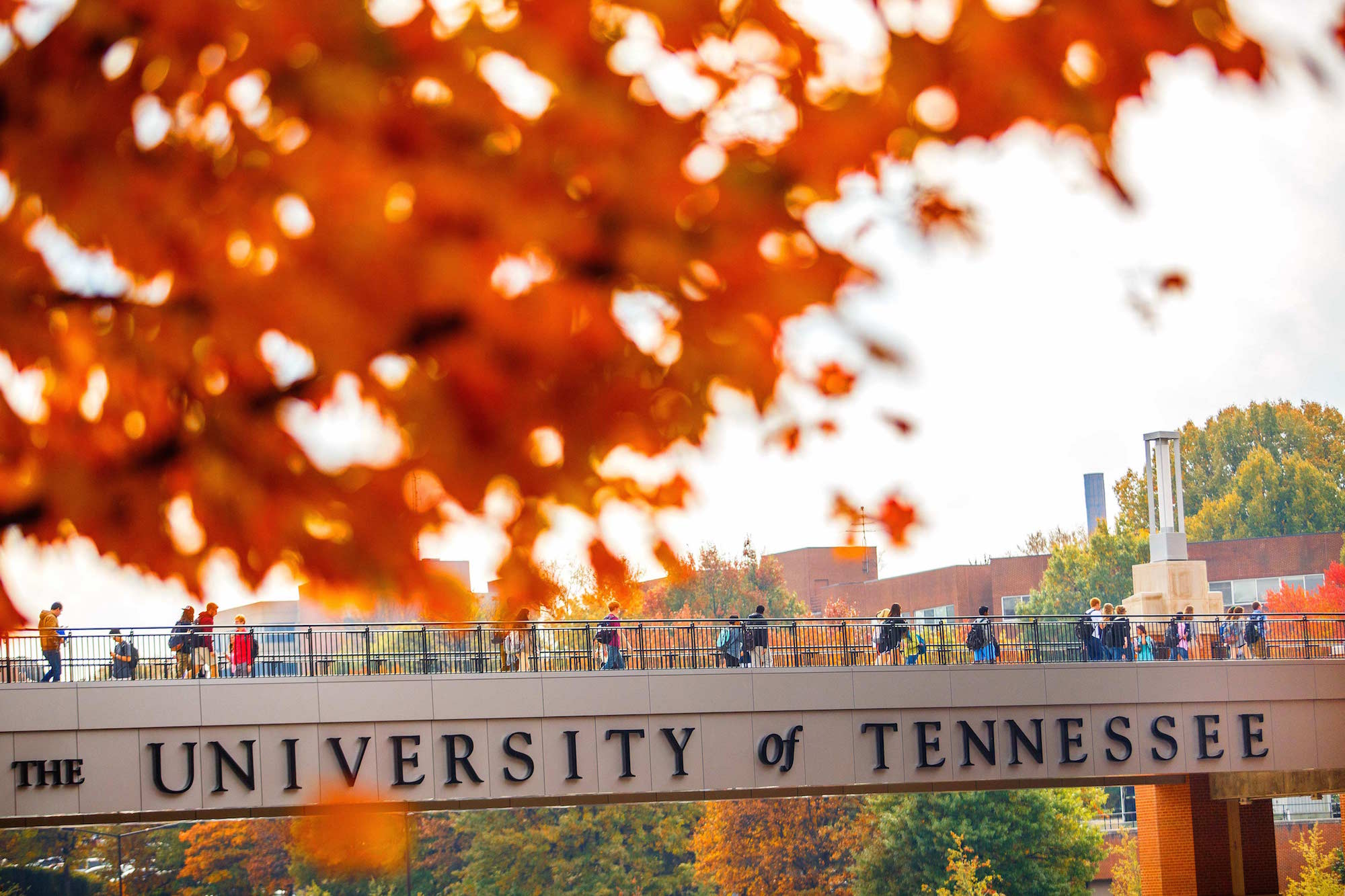 University of Tennessee, Knoxville, TN